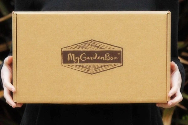 Mystery Garden Box